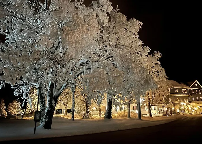 Hotel Altastenberg Winterberg